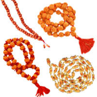 Rudraksha 1 Mukhi To 14 Mukhi Malas